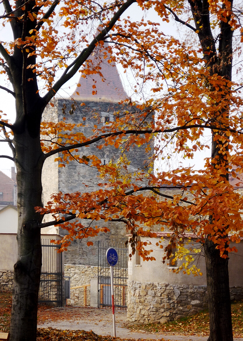 Jakl Karel - Znojmo , 2011 (002)