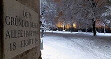 Dolní park - deska "Ekart", zima 2021