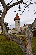 Drahomíra Trčková - Vlkova věž