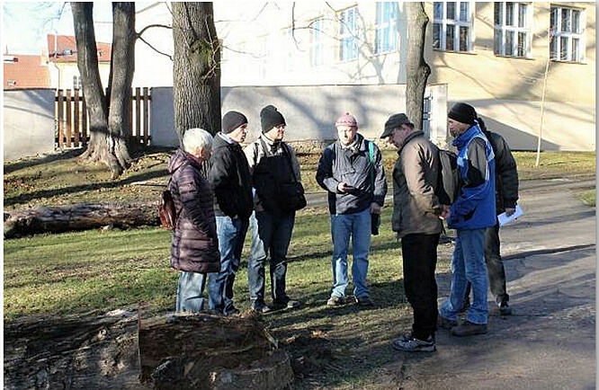 Dolní park - netopýi 1
