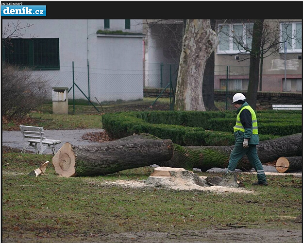 práce v Dolním parku 2014