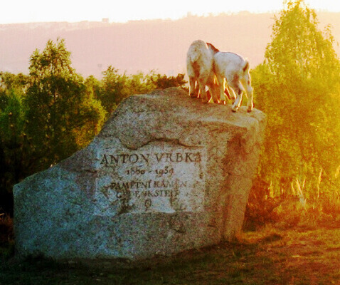 nový Vrbkv kámen - 2005