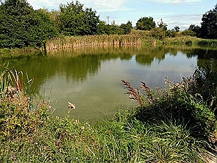 rybník Hnědka
