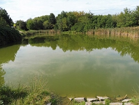 Leska - rybník Hnědka