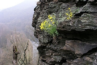 Národní park Podyjí