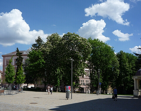 stední park - kvten 2012