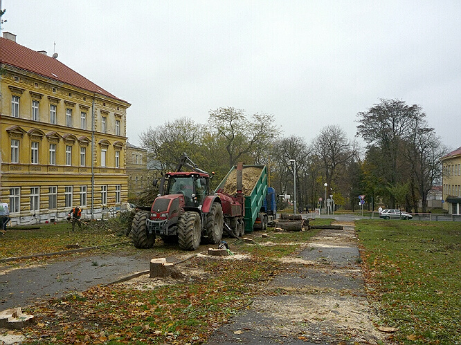 Stední park - 4.11.2012