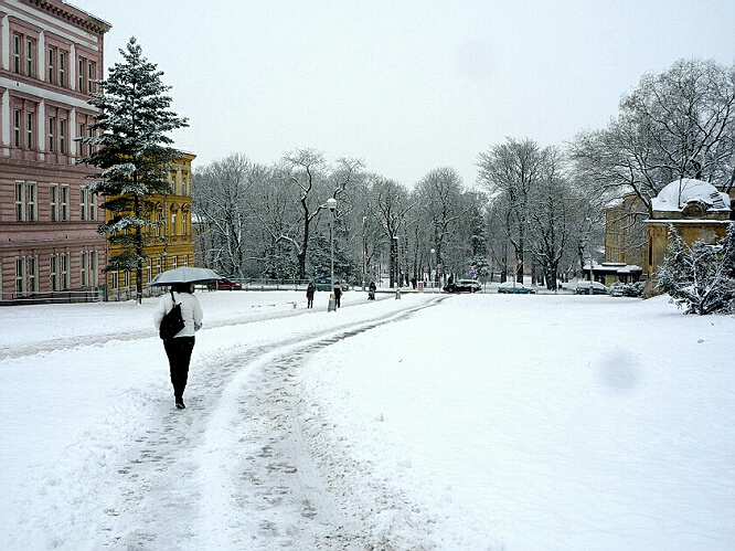 Stední park - 17.1.2013