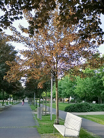 Vedro 2022 - Znojmo -  park schne