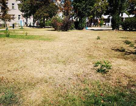 Park Znojmo - 04. 08. 2022