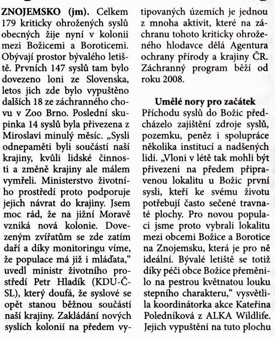 Syslové - Boice