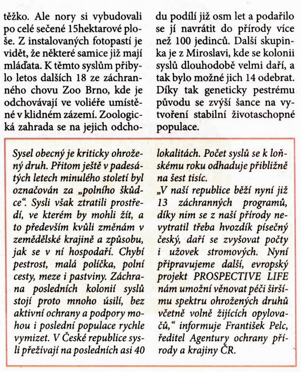 Syslové - Boice