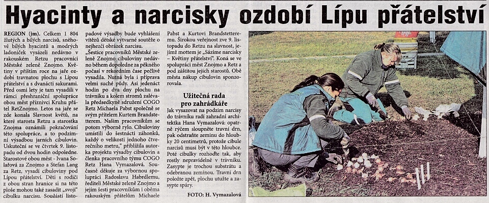 lípa, hyacinty, narcisy