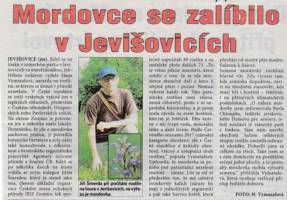 mordovka - Jevišovice