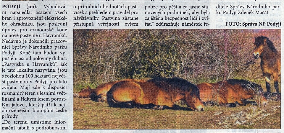 K exmoorský - Havraníky