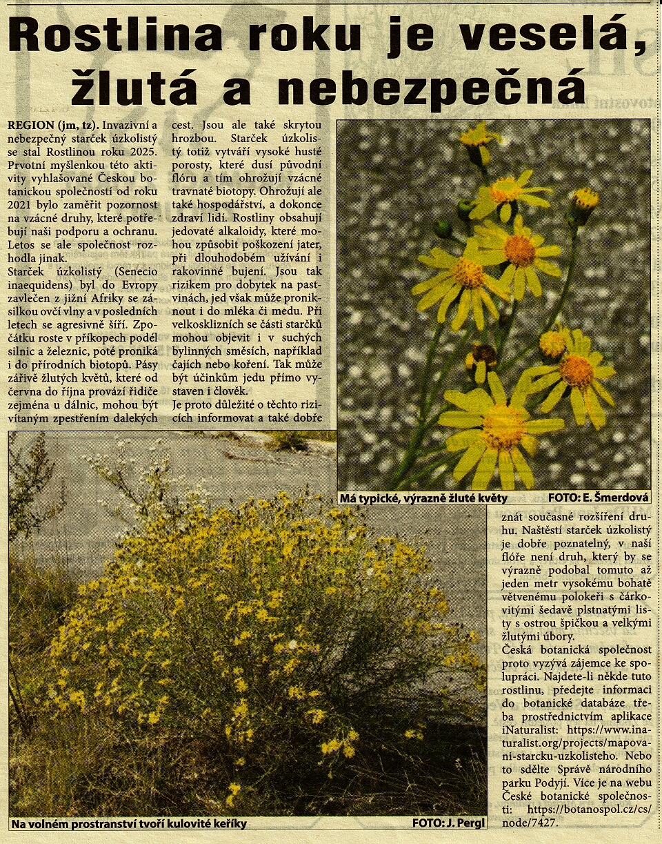 rostlina roku - 2025