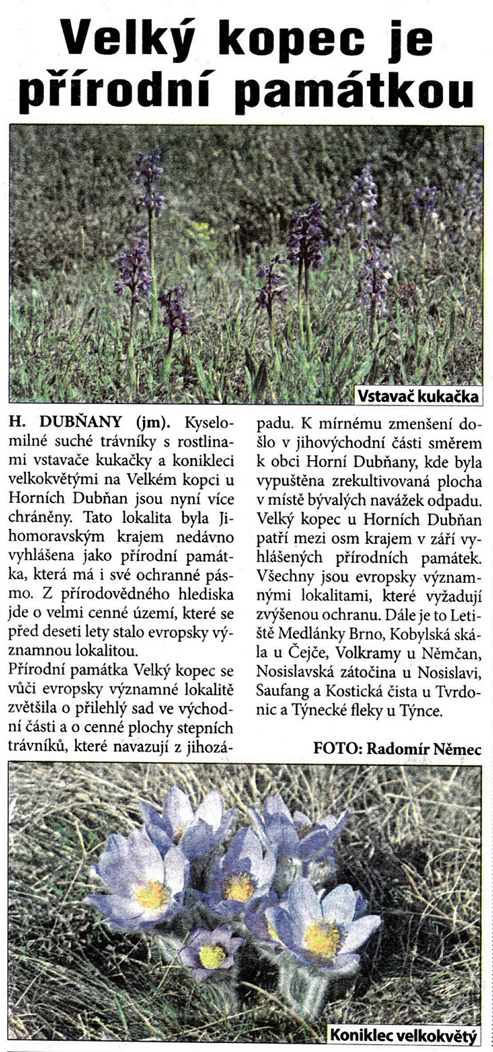 Velký kopec - pírodní památka