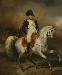 Napoleonna Koni od S.Meistera