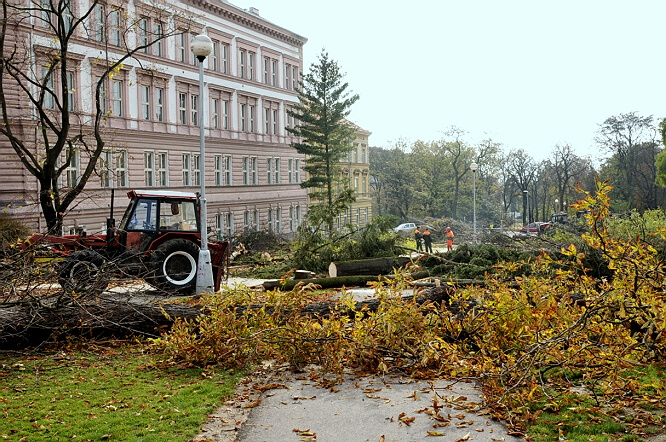 zastavte devastaci znojemských park